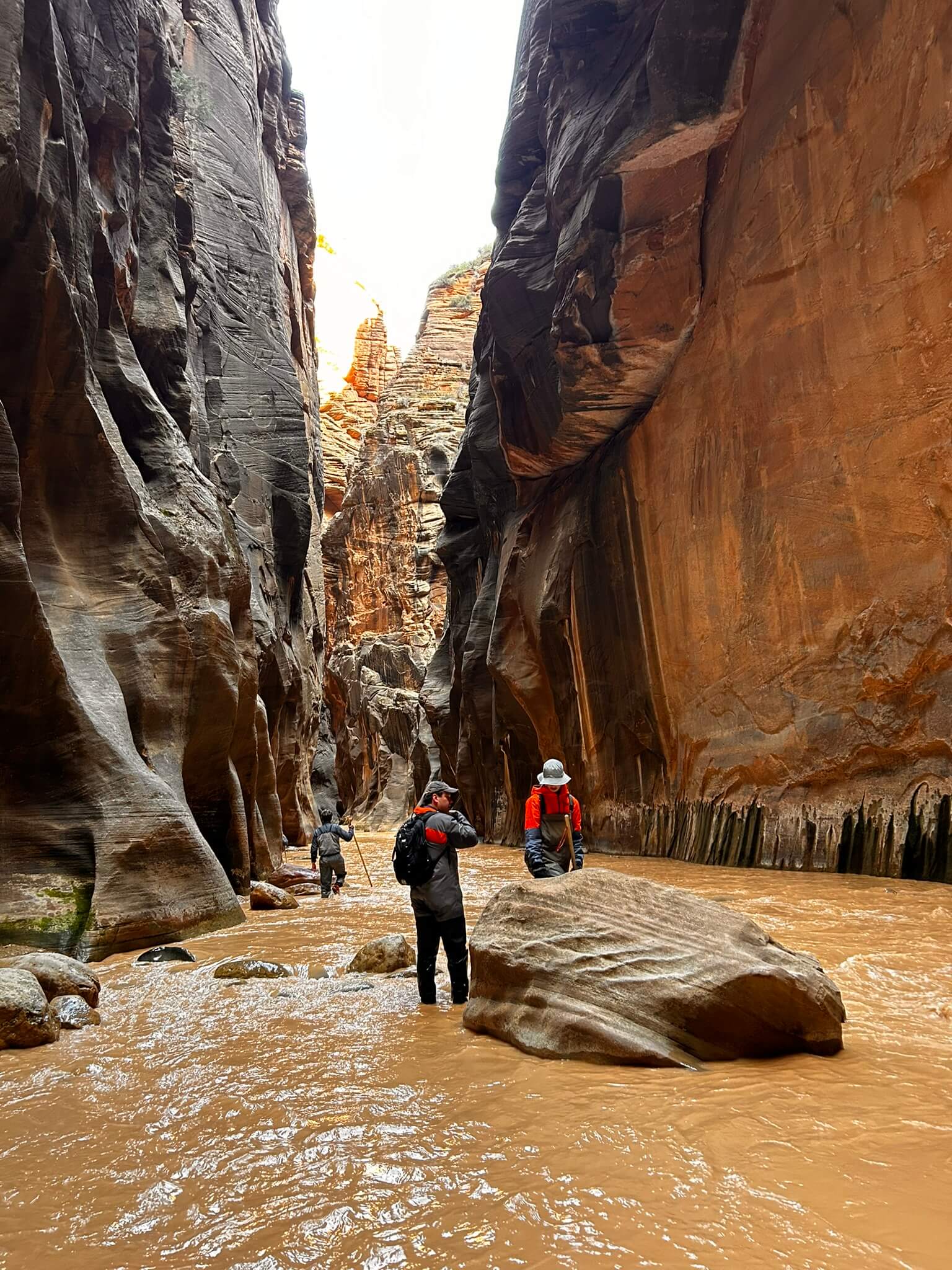 An image of hikers wading in muddy water in The Narrows