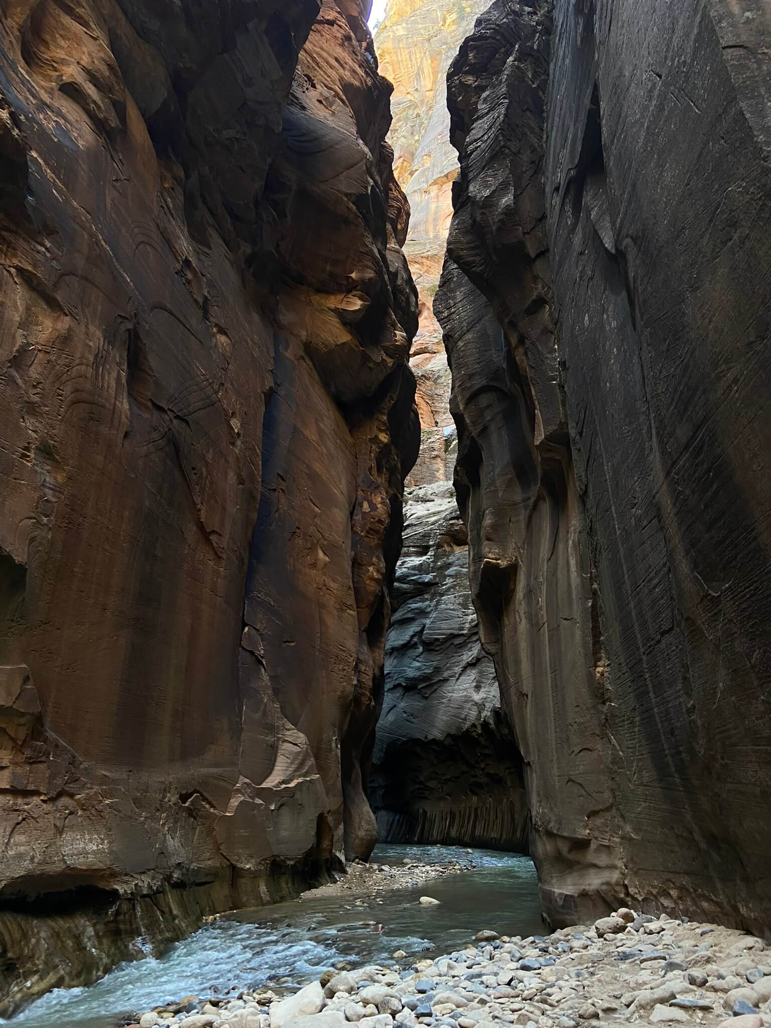 An image of the walls of Zion Canyon in the Narrows