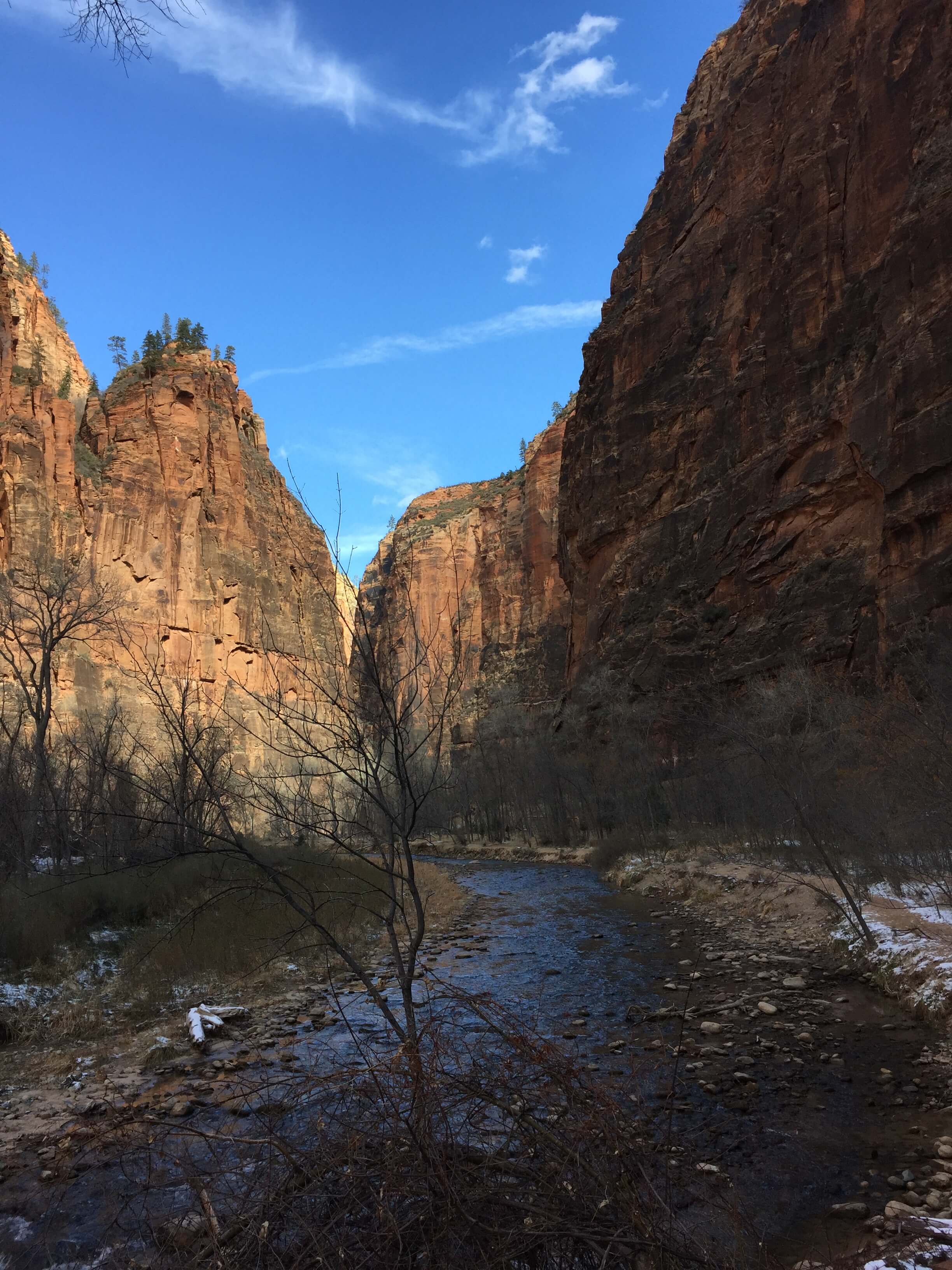 An image of the Virgin River running through Zion Canyon.