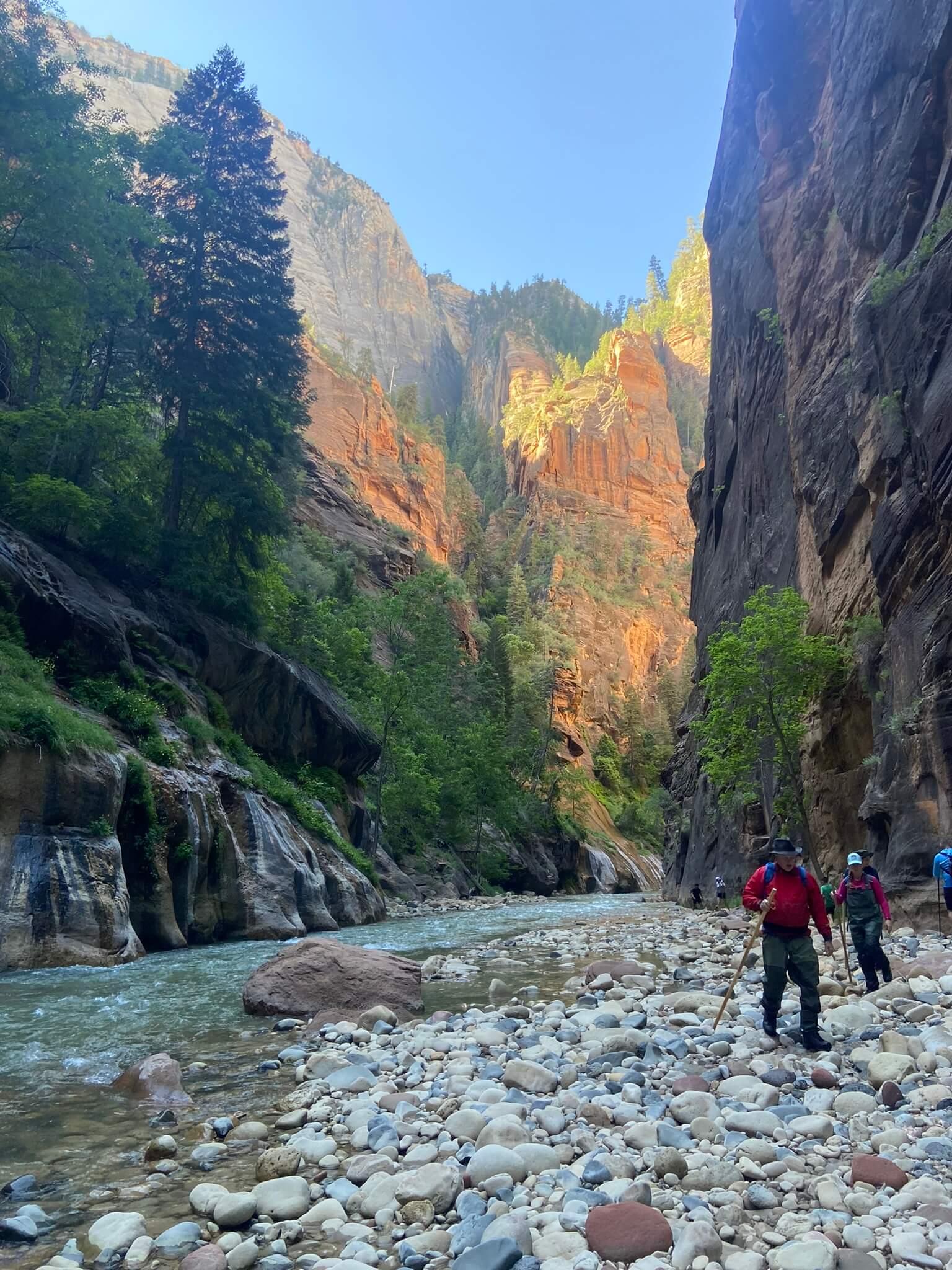 An image of the hikers along the river that runs through Zion Canyon's Narrows