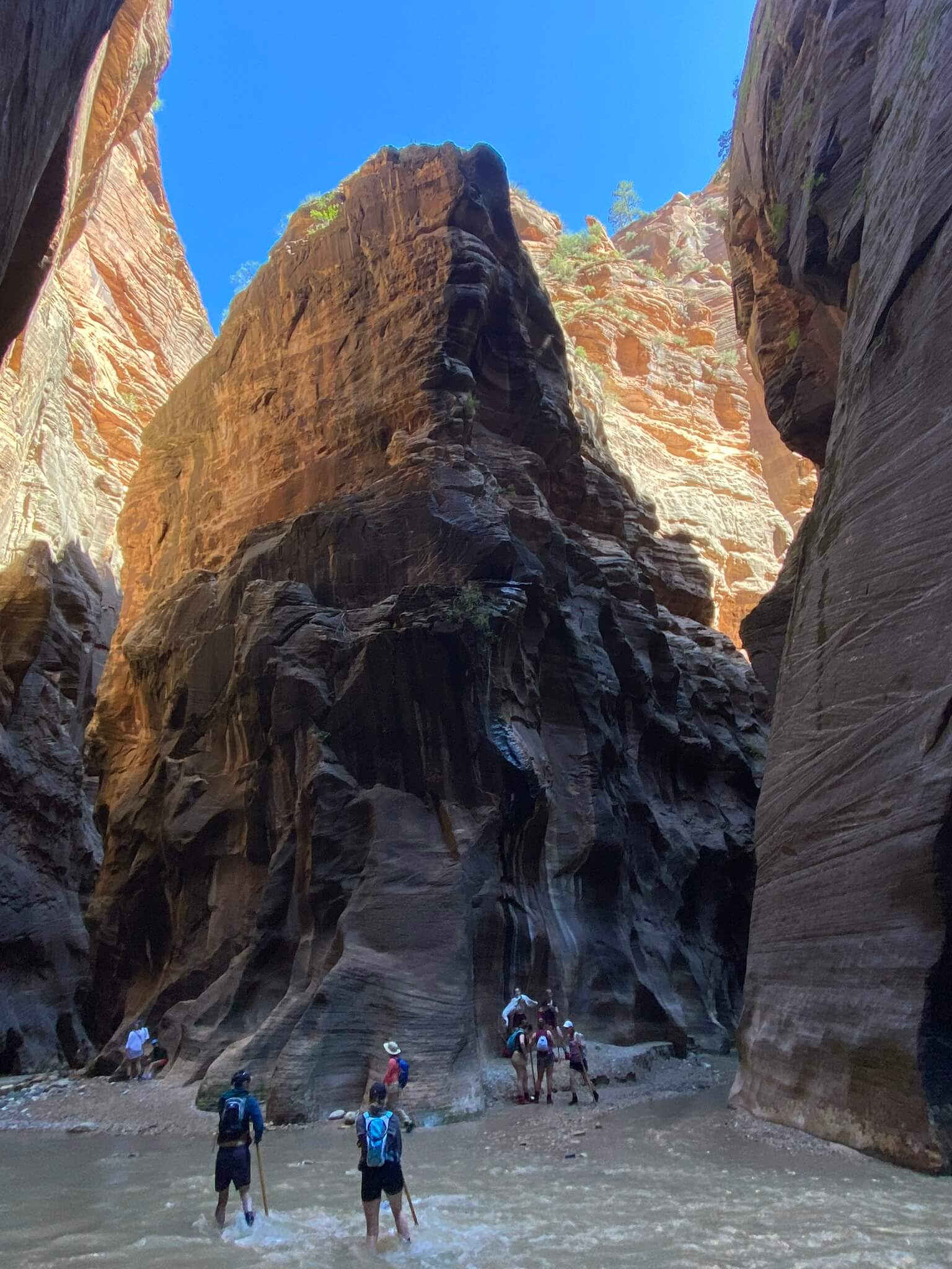 An image of hikers meeting a fork in the Narrows